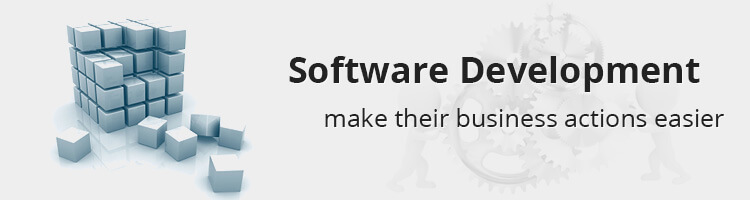 Software Development