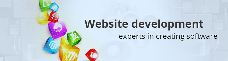 Website Development