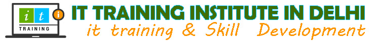 IT Training Institute in Delhi